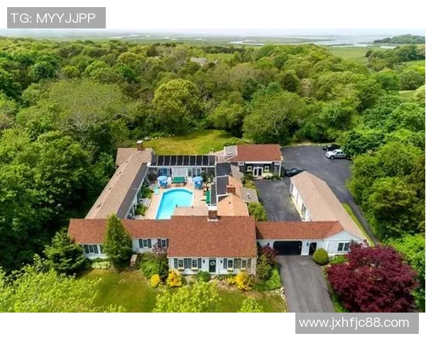 布林狮子迎战休斯顿城全力争胜展现球队实力与风采