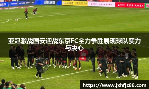 55世纪官方平台